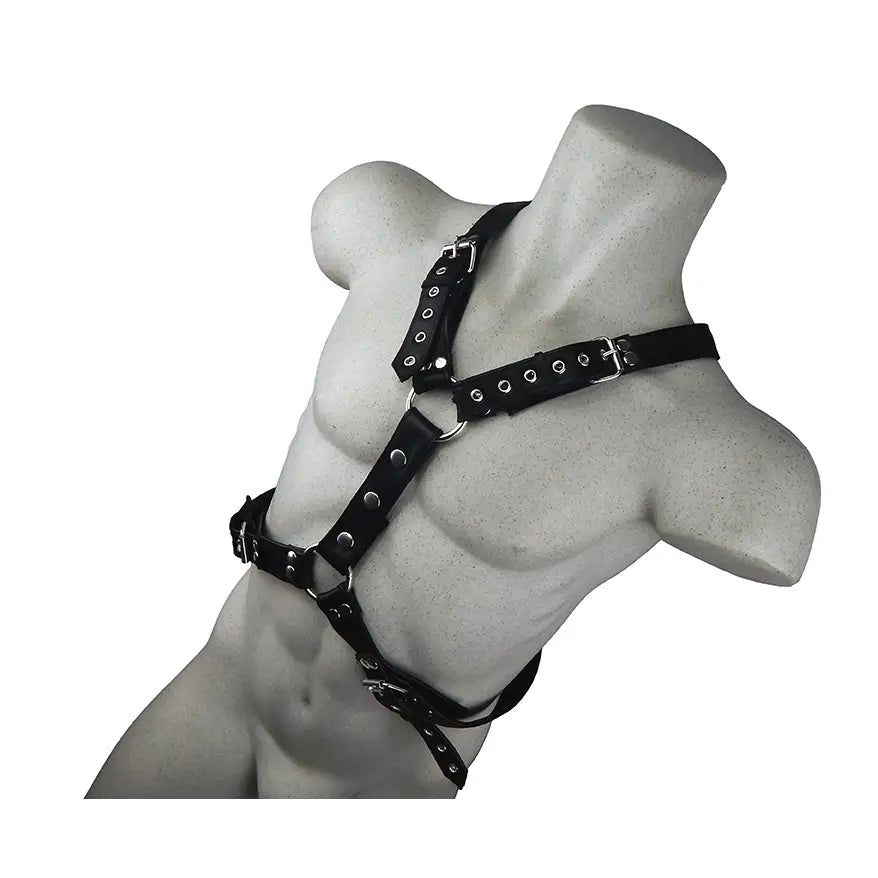 Atticus Harness