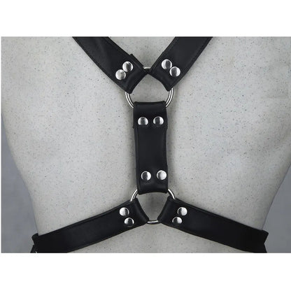 BDSM Ledergeschirr